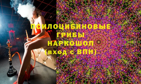 mdpv Белокуриха