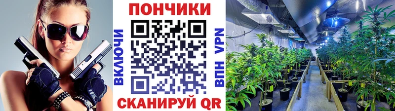 Конопля OG Kush  как найти закладки  Высоковск 